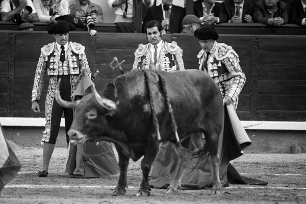 Asociación EL TORO de Madrid6