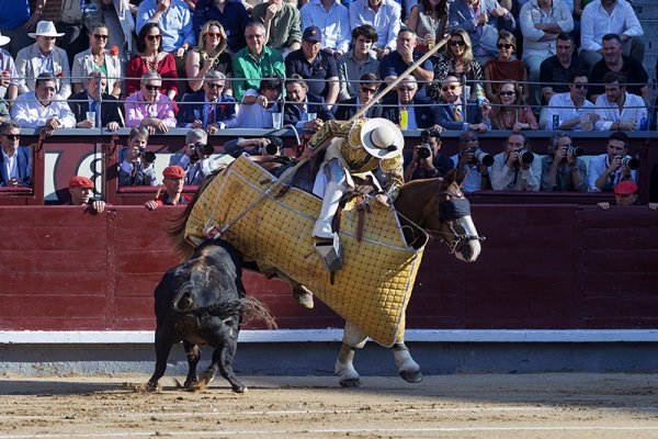 Asociación EL TORO de Madrid7