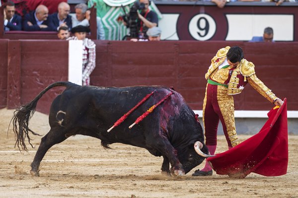 Asociación EL TORO de Madrid8