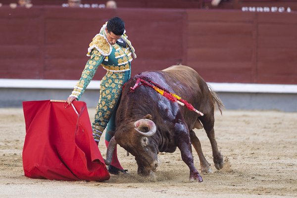 Asociación EL TORO de Madrid9