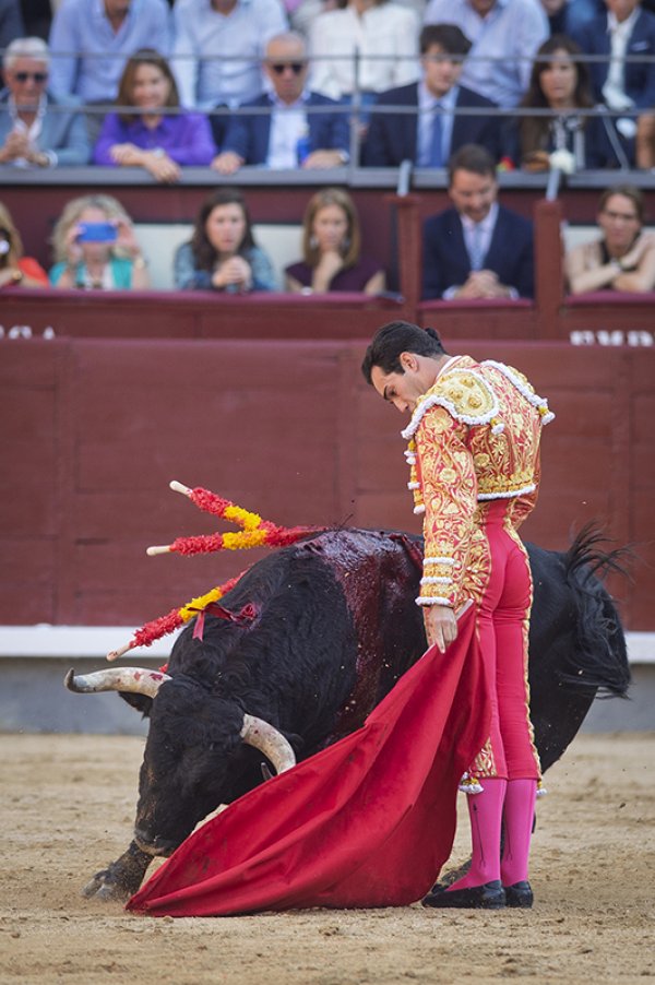 Asociación EL TORO de Madrid10