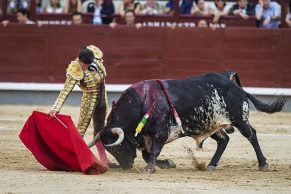Asociación EL TORO de Madrid7