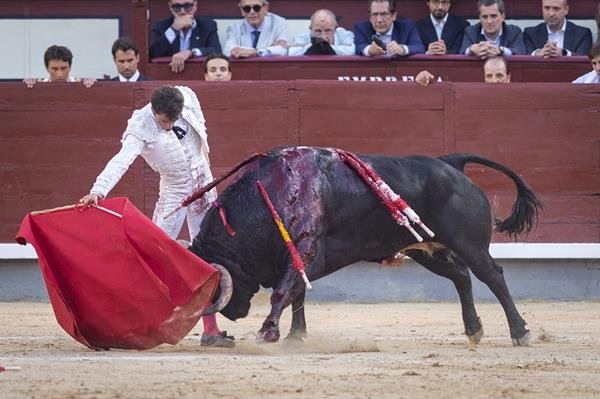 Asociación EL TORO de Madrid9