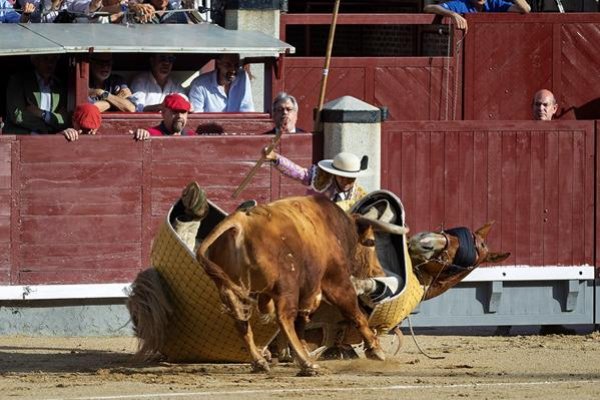 Asociación EL TORO de Madrid8