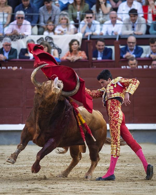Asociación EL TORO de Madrid10