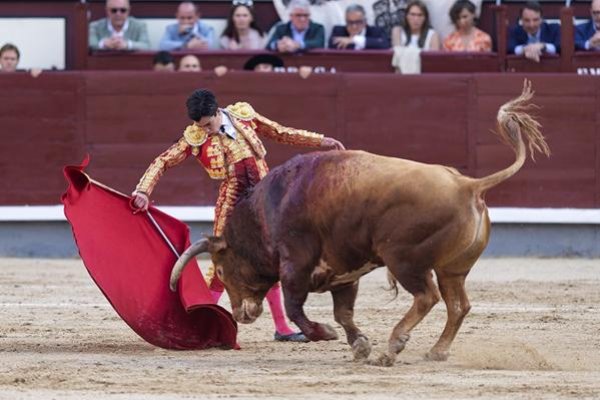 Asociación EL TORO de Madrid11