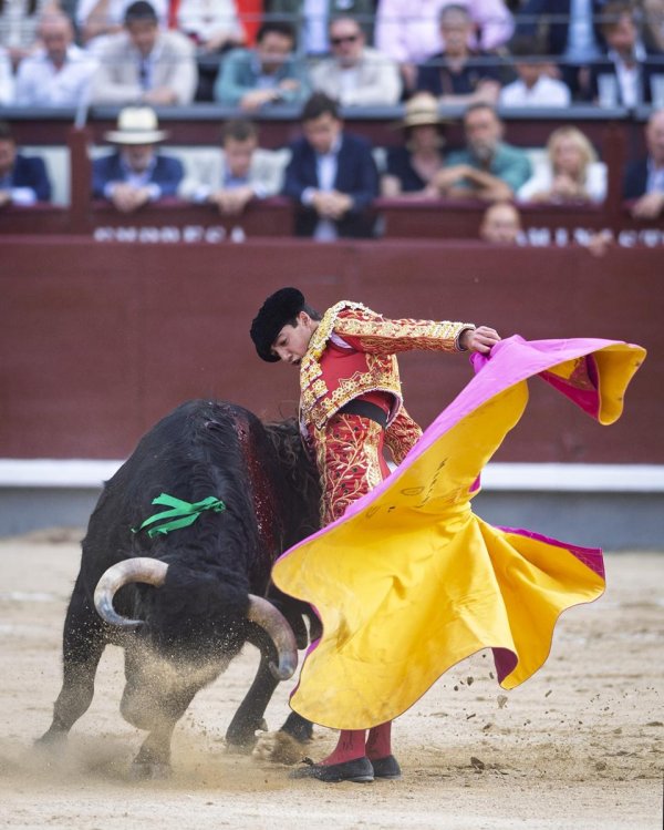 Asociación EL TORO de Madrid12