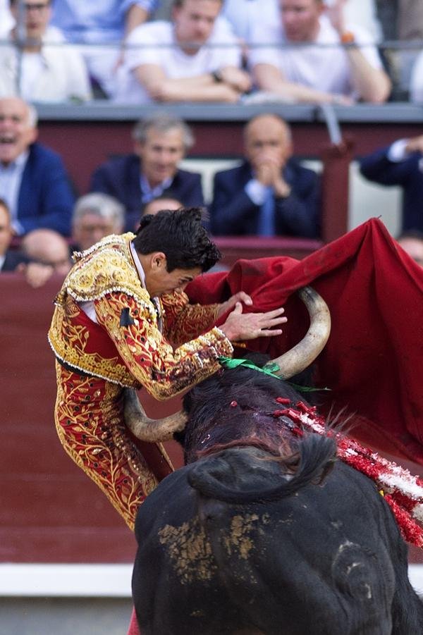 Asociación EL TORO de Madrid13