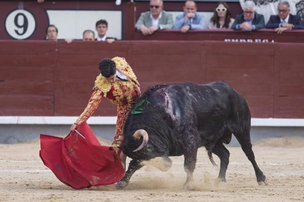Asociación EL TORO de Madrid14