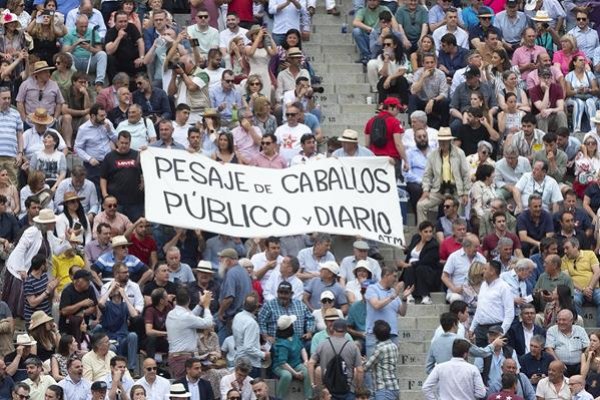 Asociación EL TORO de Madrid6