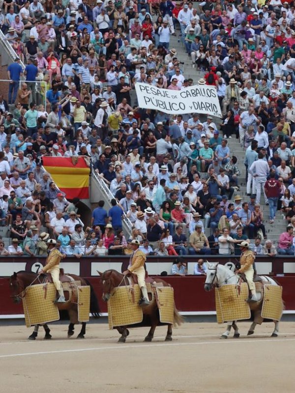Asociación EL TORO de Madrid7