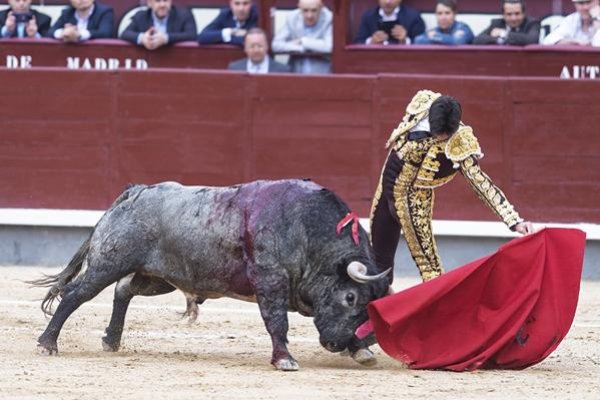 Asociación EL TORO de Madrid8