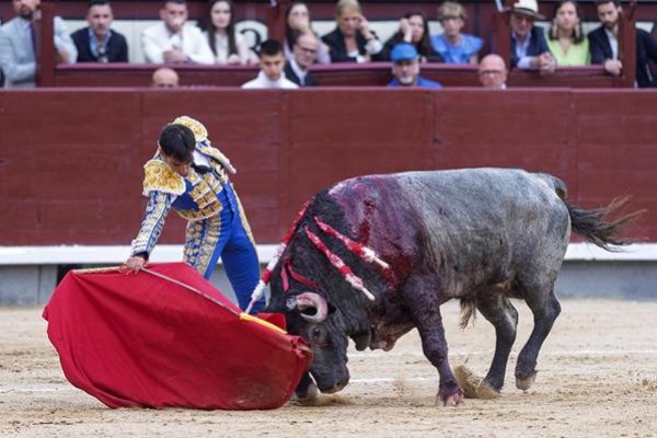 Asociación EL TORO de Madrid9