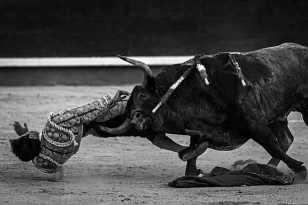 Asociación EL TORO de Madrid12