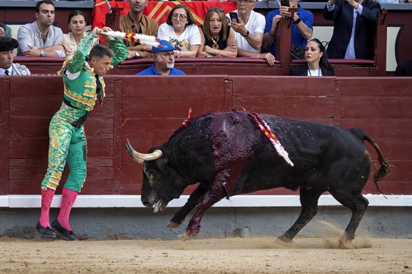 Asociación EL TORO de Madrid6