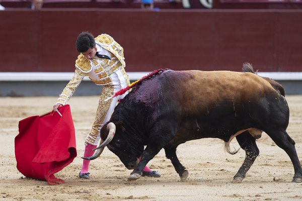 Asociación EL TORO de Madrid7