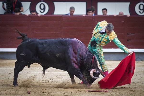 Asociación EL TORO de Madrid8
