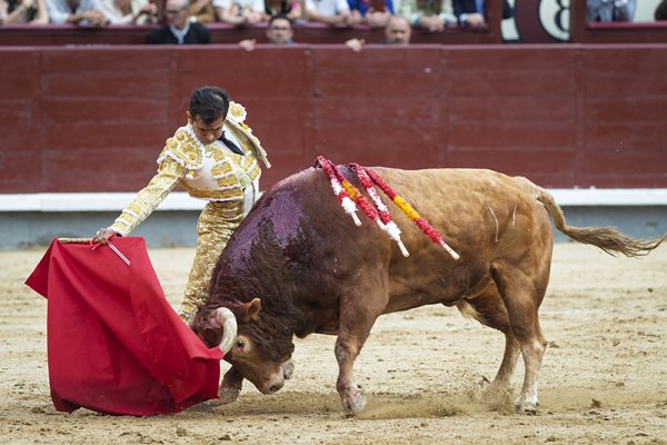 Asociación EL TORO de Madrid10