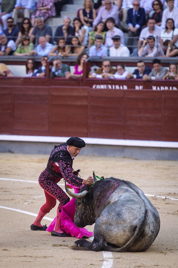 Asociación EL TORO de Madrid7