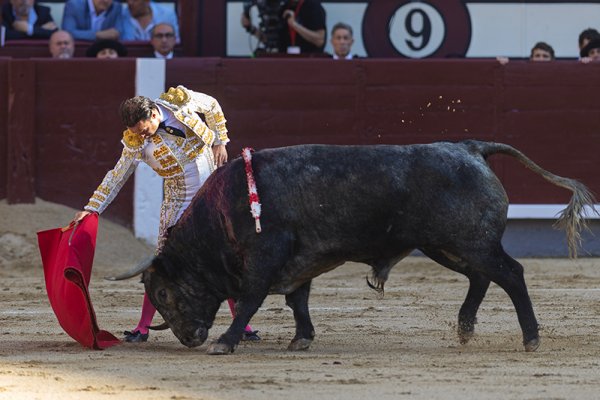 Asociación EL TORO de Madrid8