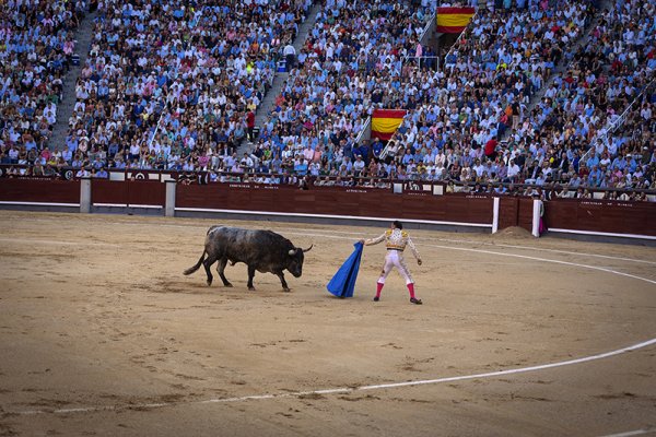 Asociación EL TORO de Madrid11