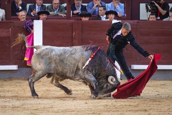 Asociación EL TORO de Madrid12