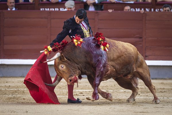 Asociación EL TORO de Madrid7