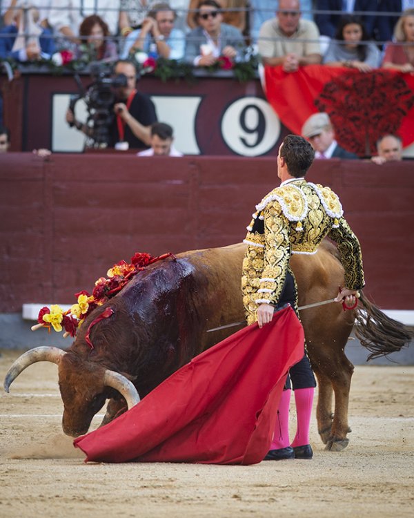 Asociación EL TORO de Madrid8