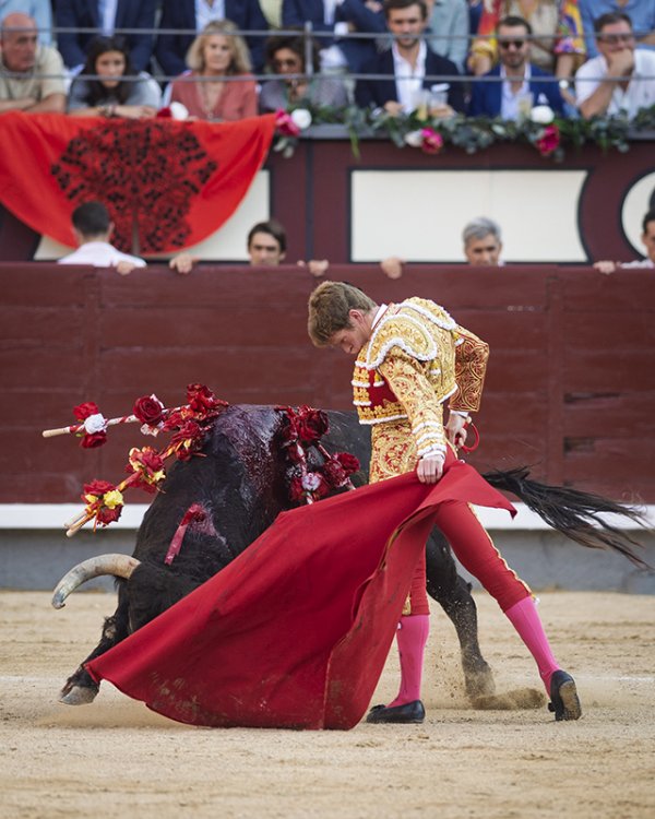 Asociación EL TORO de Madrid9