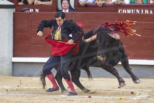 Asociación EL TORO de Madrid12