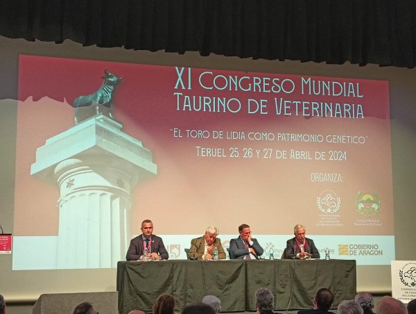 Roberto García en el XI Congreso Mundial Taurino de Veterinaria