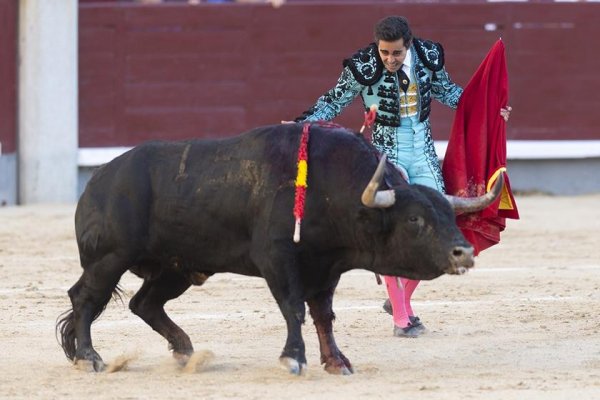 Desafío... Al aficionado