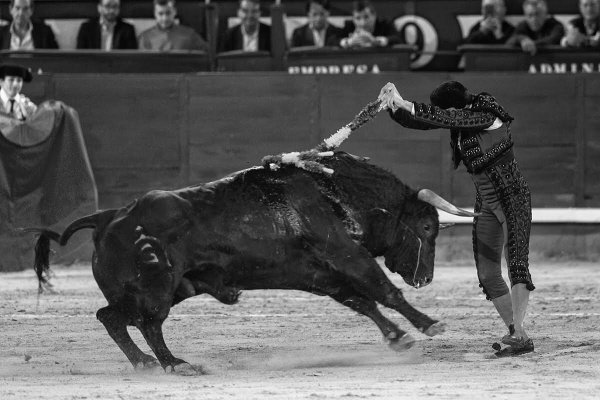 Ovaciones de oro, para toreros de plata