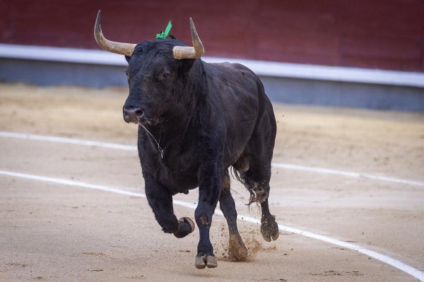 Un presidente sin criterio y un torero sin recursos