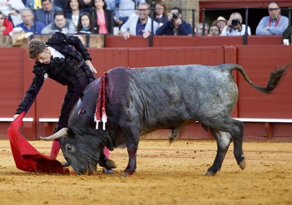 Cobradiezmos: el toro al que no le dejaron cumplir con su destino