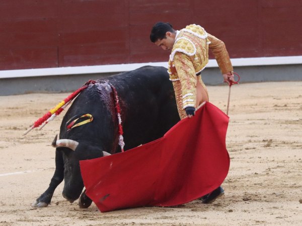 Alejandro Talavante: sí, pero no
