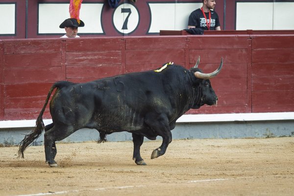 “Frenoso” salvó la tarde
