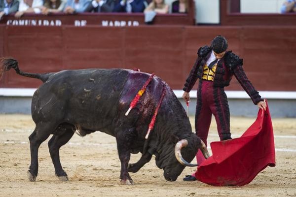 Un petardo de toros artistas…