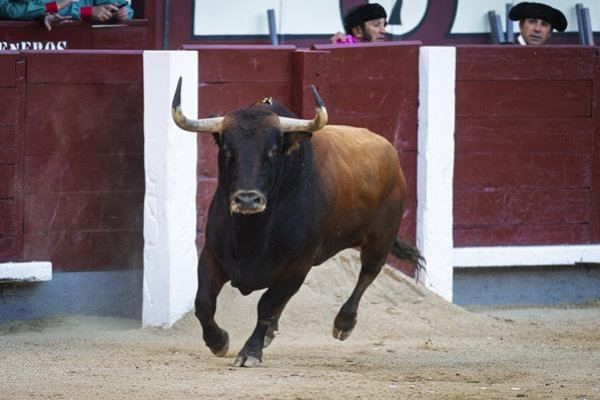 A Roca ya no le salvan ni los viernes