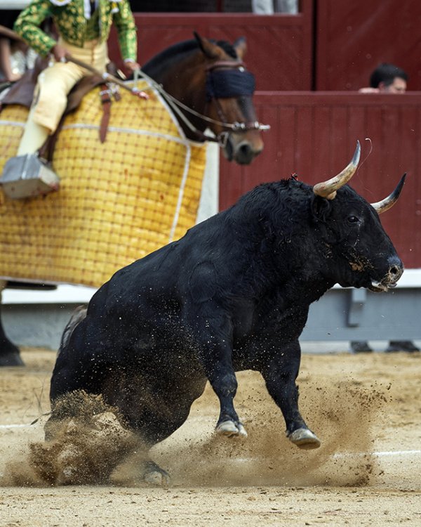 Tarde tediosa y calurosa