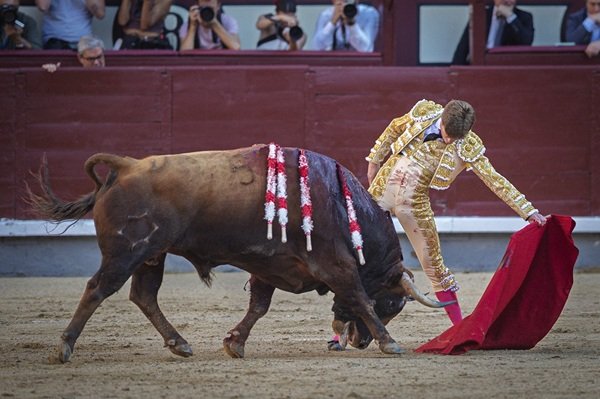 Hoy las ciencias adelantan que es una barbaridad
